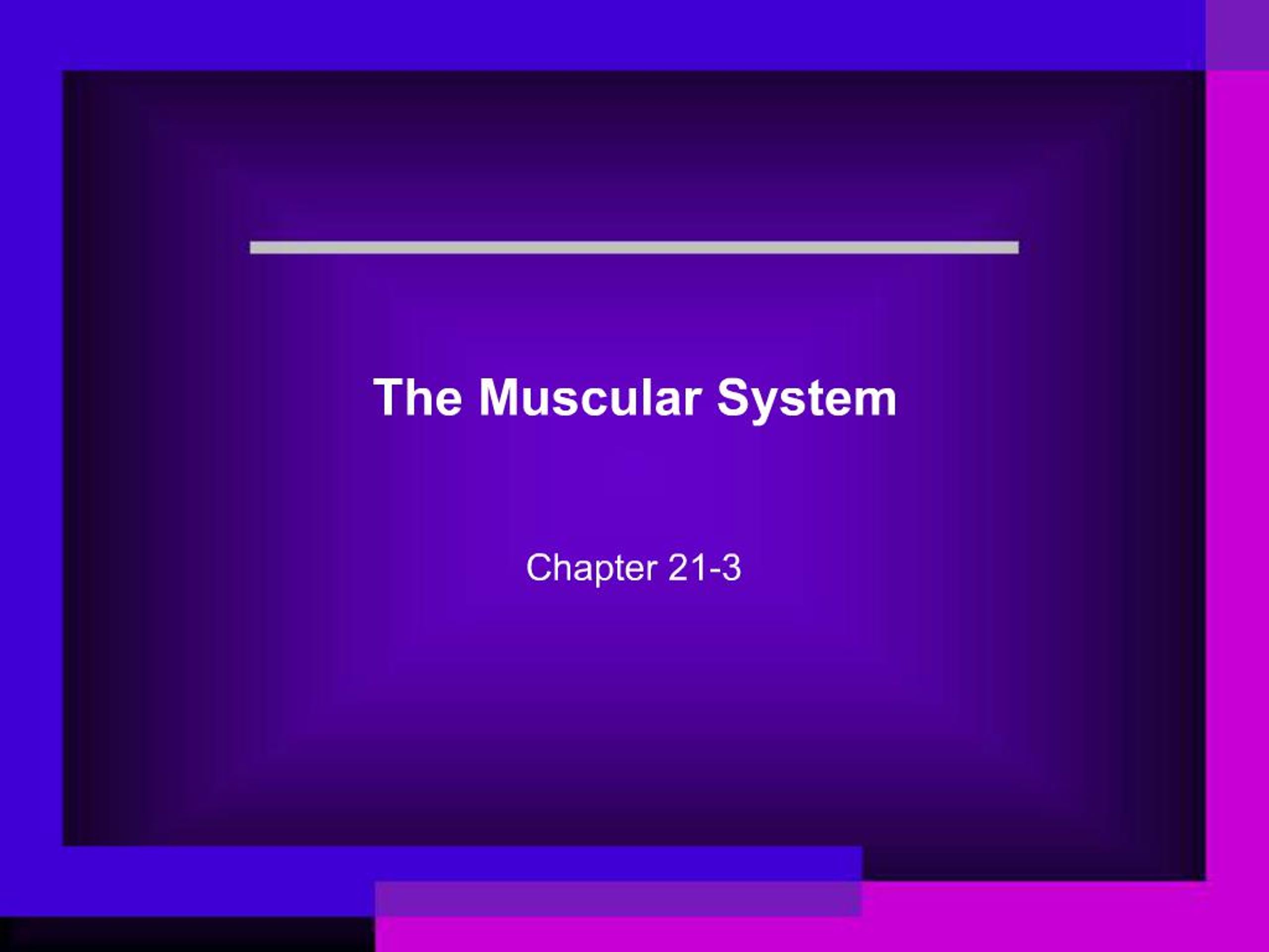 PPT - The Muscular System PowerPoint Presentation, free download - ID ...
