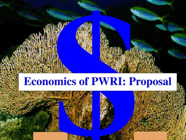 Economics of PWRI: Proposal