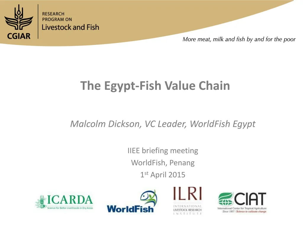 the egypt fish value chain