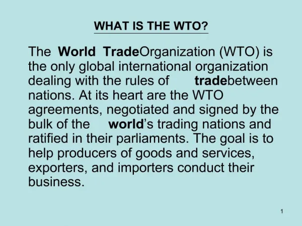 WHAT IS THE WTO