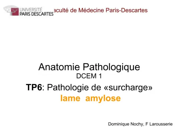 Anatomie Pathologique DCEM 1 TP6 : Pathologie de surcharge lame amylose