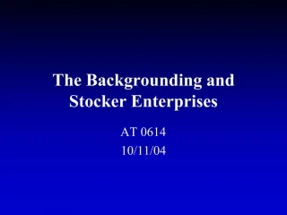 The Backgrounding and Stocker Enterprises - slide 1
