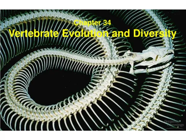 Chapter 34 Vertebrate Evolution and Diversity