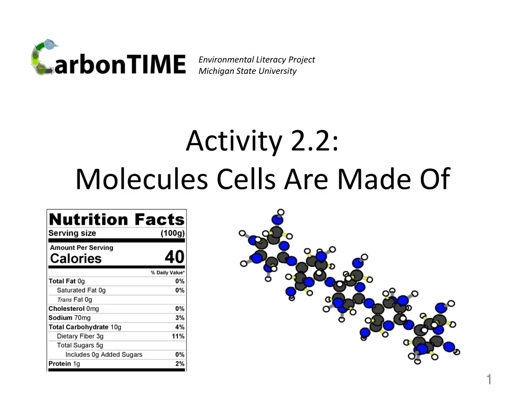 activity 2 2 molecules cells are made of