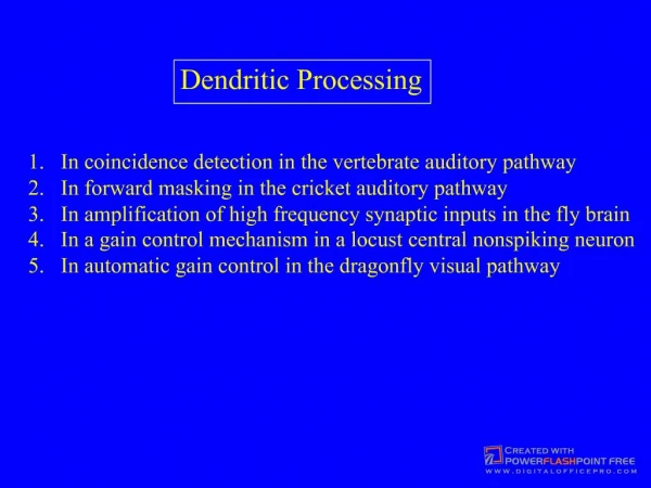 Dendritic Processing