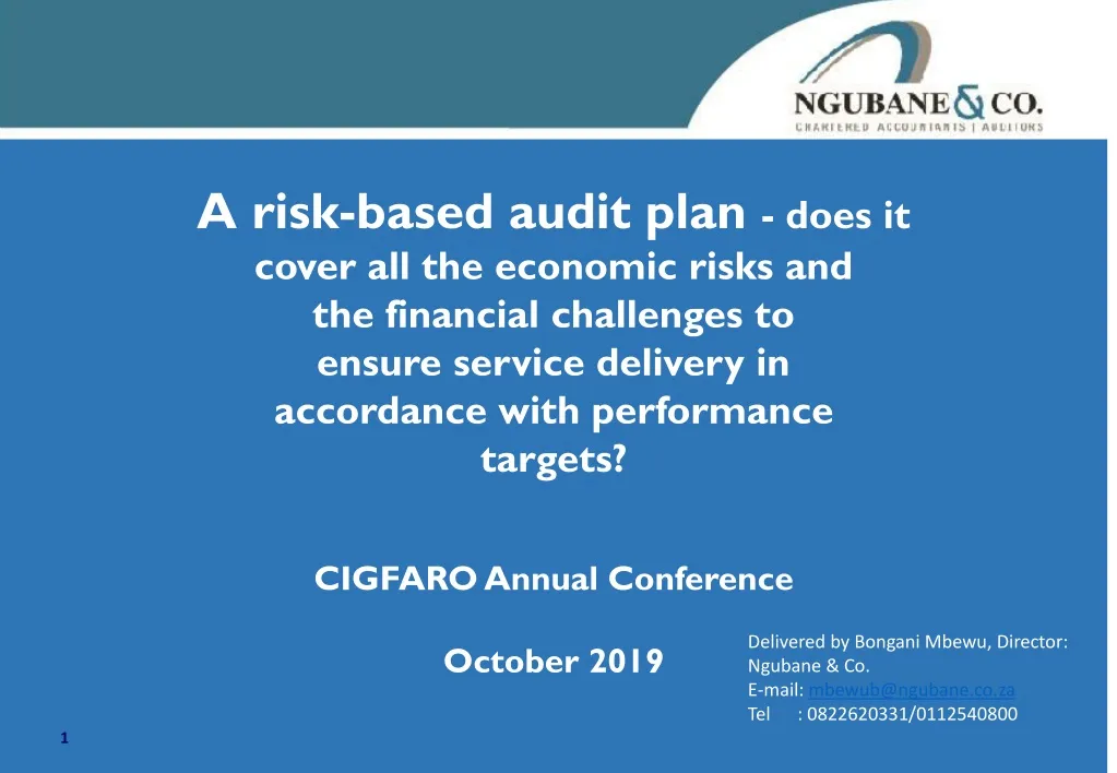 a risk based audit plan does it cover