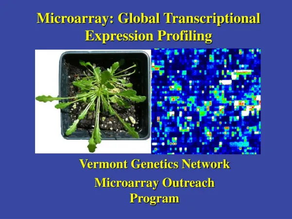 Microarray: Global Transcriptional Expression Profiling