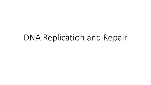 DNA Replication and Repair