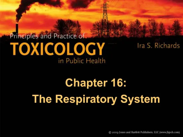 Chapter 16: The Respiratory System