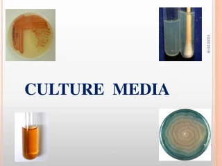 CULTURE MEDIA - slide 1