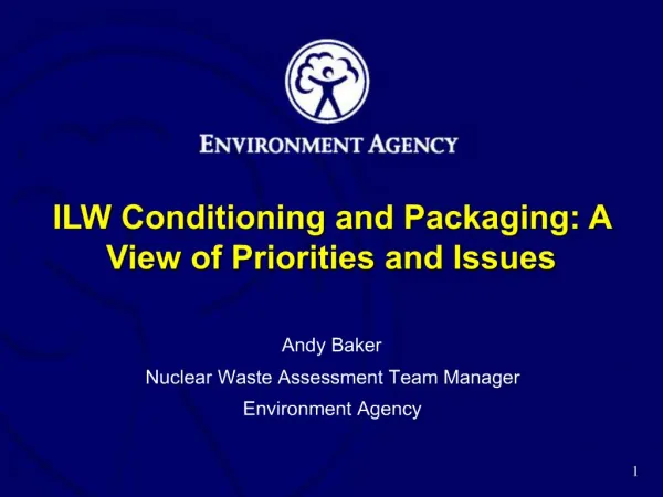 ILW Conditioning and Packaging: A View of Priorities and Issues
