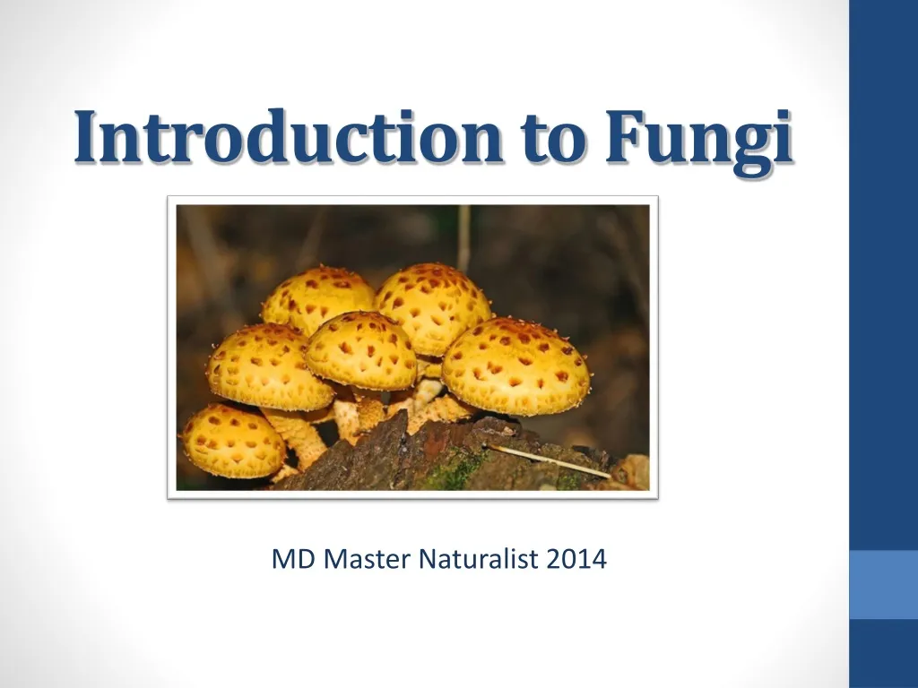 introduction to fungi