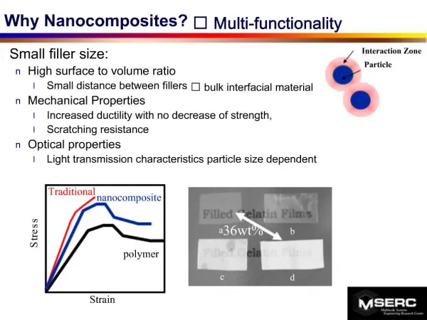 Why Nanocomposites Multi-functionality