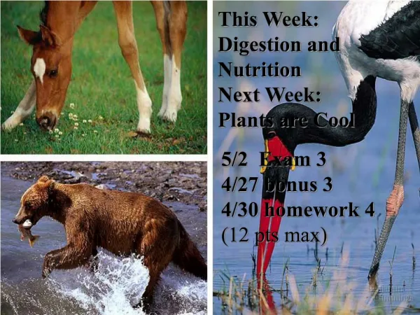 This Week: Digestion and Nutrition Next Week: Plants are Cool