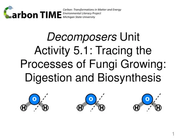 Decomposers Unit Activity 5.1: Tracing the Processes of Fungi Growing: Digestion and Biosynthesis