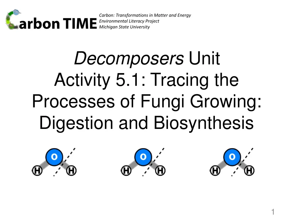 decomposers unit activity 5 1 tracing the processes of fungi growing digestion and biosynthesis