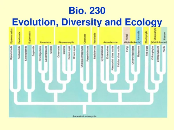 Bio. 230 Evolution, Diversity and Ecology