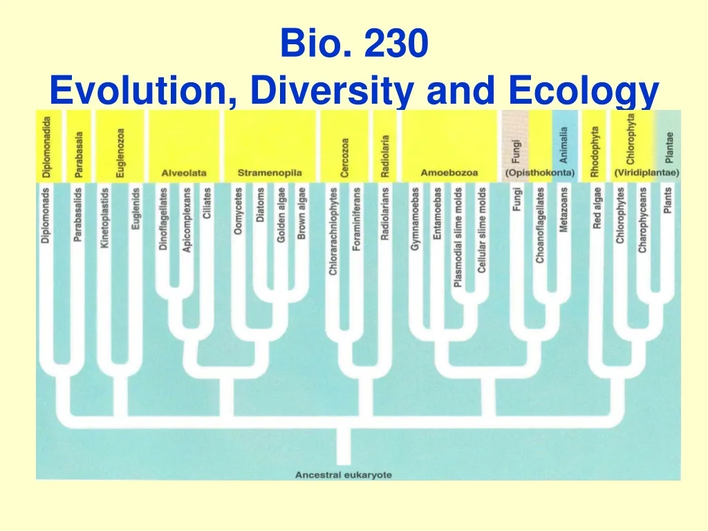 bio 230 evolution diversity and ecology