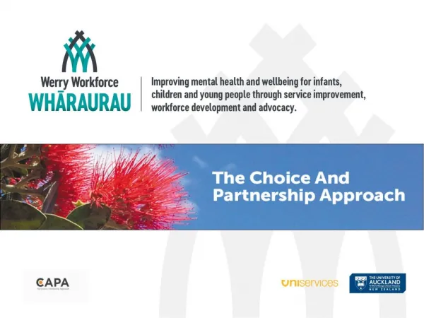 The Choice and Partnership Approach (CAPA)