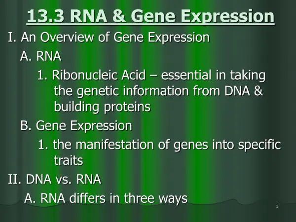 13.3 RNA &amp; Gene Expression