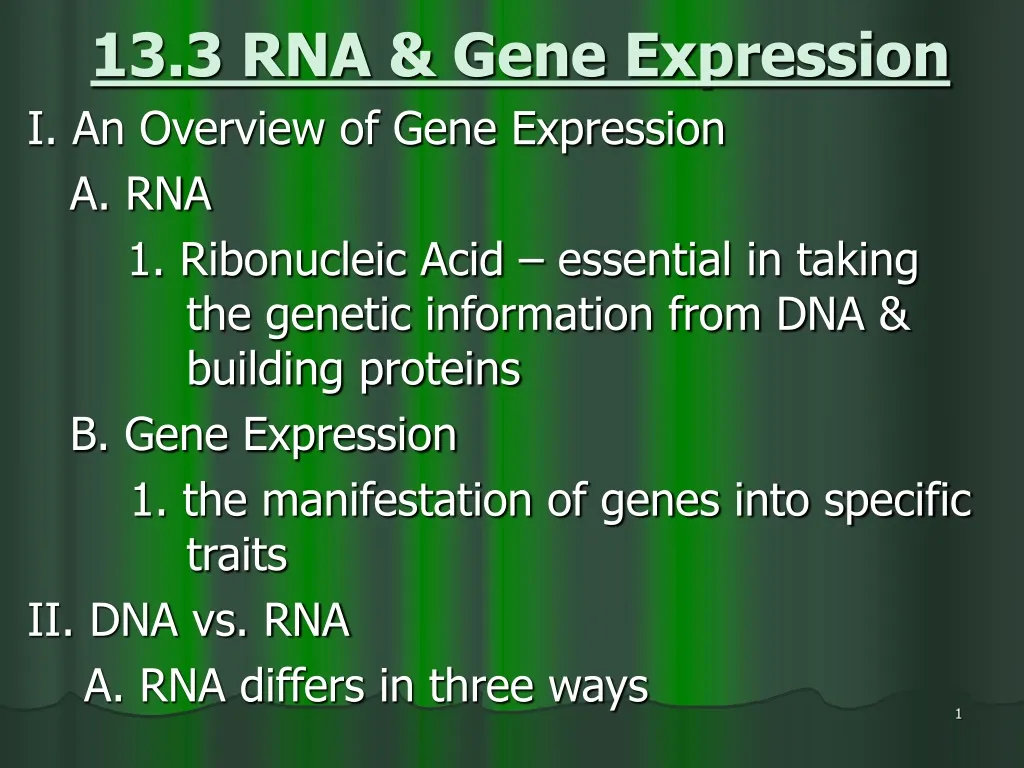 13 3 rna gene expression