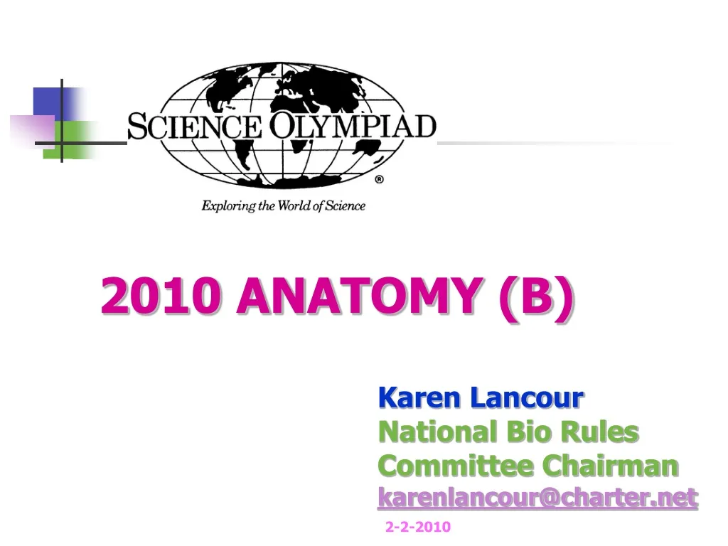 2010 anatomy b