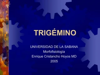 TRIG MINO - slide 1