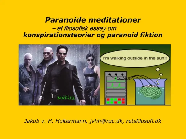 Paranoide meditationer et filosofisk essay om konspirationsteorier og paranoid fiktion