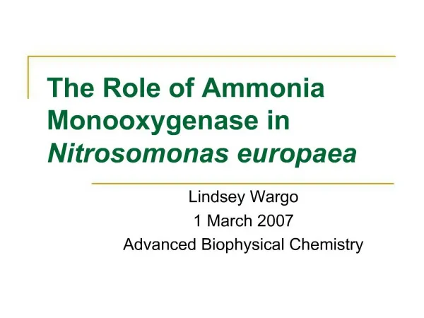 The Role of Ammonia Monooxygenase in Nitrosomonas europaea