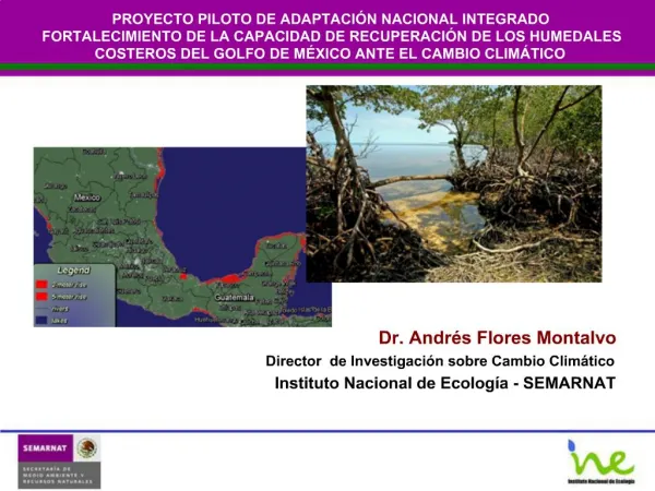 Dr. Andr s Flores Montalvo Director de Investigaci n sobre Cambio Clim tico Instituto Nacional de Ecolog a - SEMARNAT