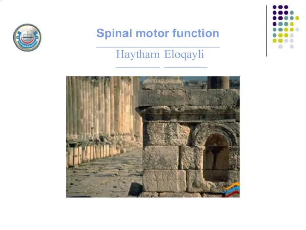 Spinal motor function Haytham Eloqayli