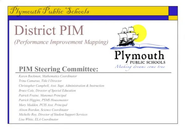 District PIM Performance Improvement Mapping
