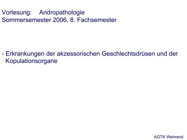 Vorlesung: Andropathologie Sommersemester 2006, 8. Fachsemester - Erkrankungen der akzessorischen Geschlechtsdr sen