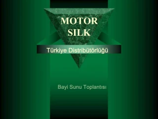 MOTOR SILK - slide 1