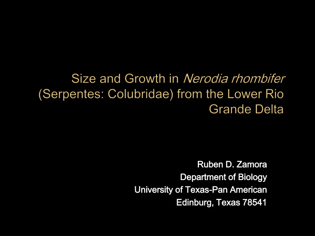 size and growth in nerodia rhombifer serpentes colubridae from the lower rio grande delta