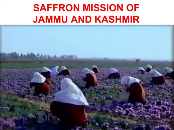 SAFFRON MISSION OF JAMMU AND KASHMIR
