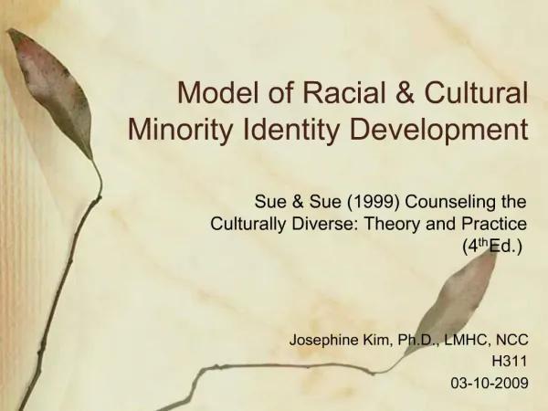 Model of Racial Cultural Minority Identity Development