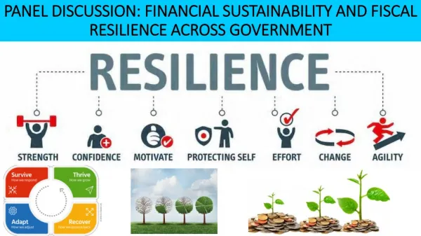 PANEL DISCUSSION: FINANCIAL SUSTAINABILITY AND FISCAL RESILIENCE ACROSS GOVERNMENT
