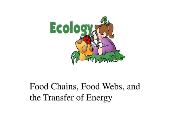 Food Chains, Food Webs, and the Transfer of Energy
