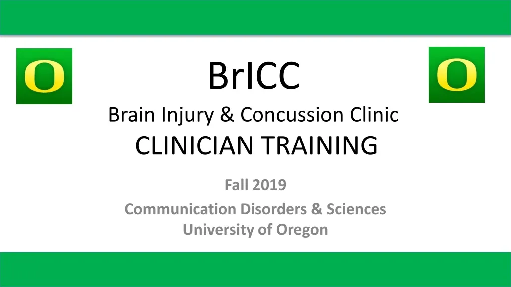 bricc brain injury concussion clinic clinician training