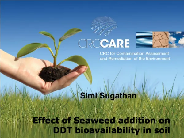 Effect of Seaweed addition on DDT bioavailability in soil