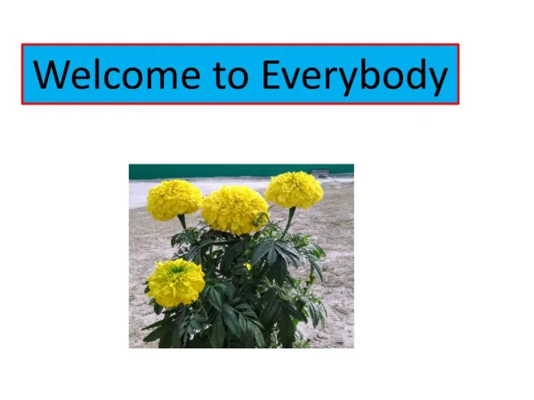 Welcome to Everybody