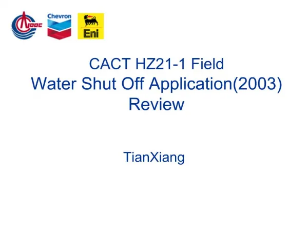 CACT HZ21-1 Field Water Shut Off Application2003 Review