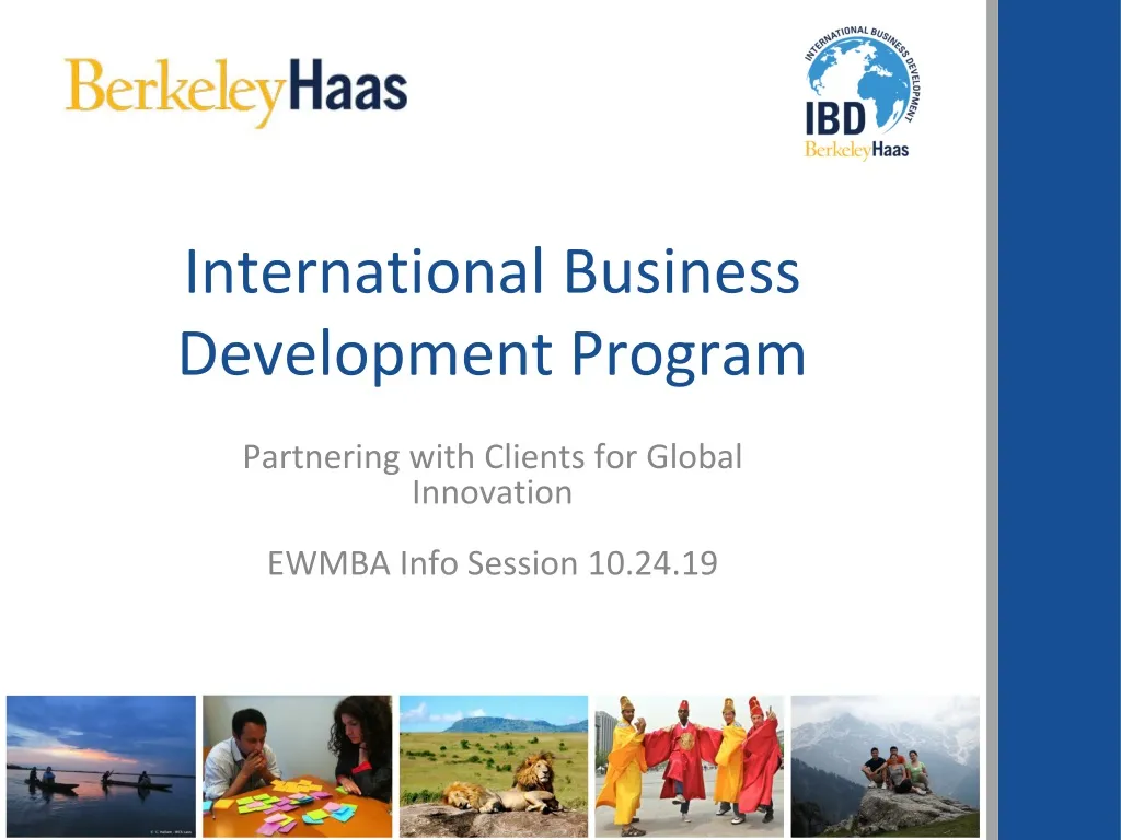 international business development program