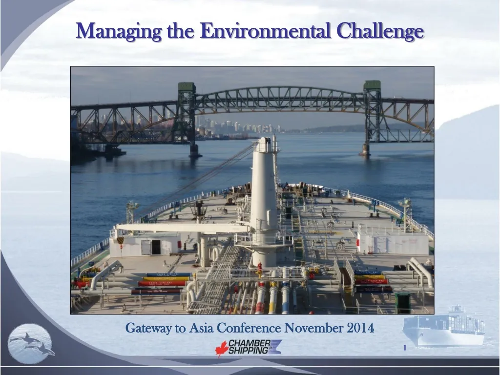 managing the environmental challenge