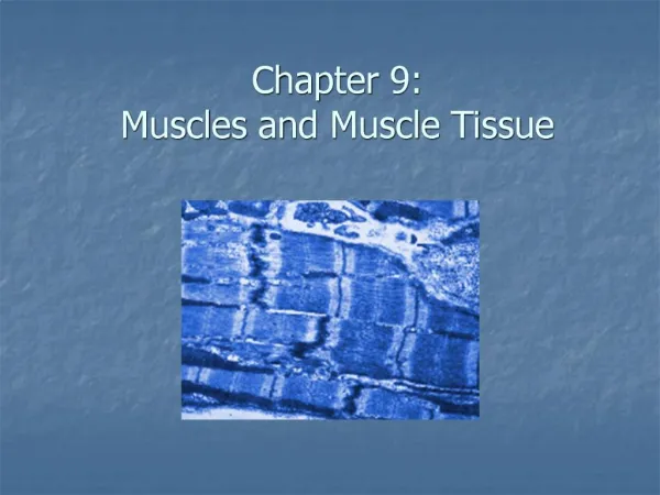 Chapter 9: Muscles and Muscle Tissue