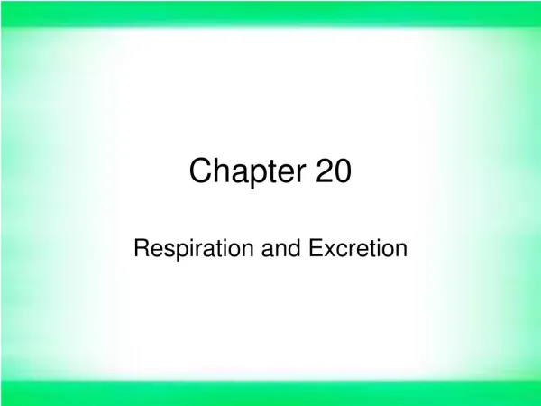 Chapter 20