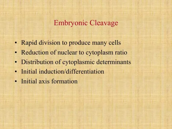 Embryonic Cleavage