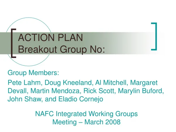ACTION PLAN Breakout Group No: