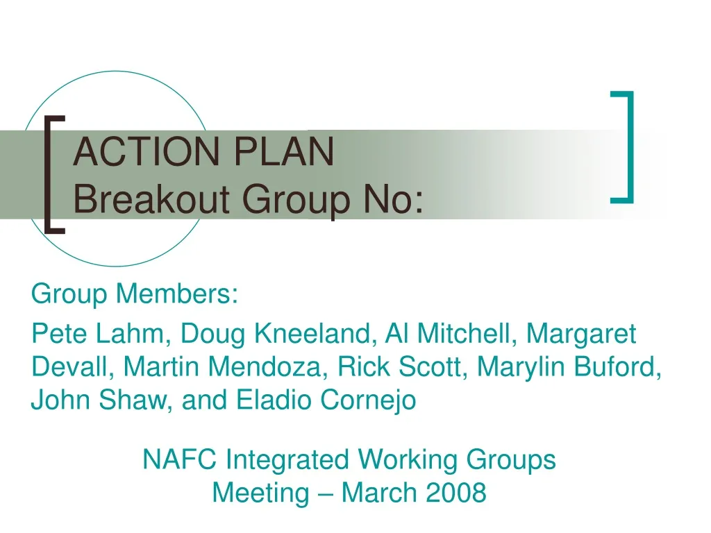 action plan breakout group no